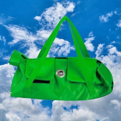 Sac de Voyage - PetTravelOutBag™ - Vert - Le royaume des chats